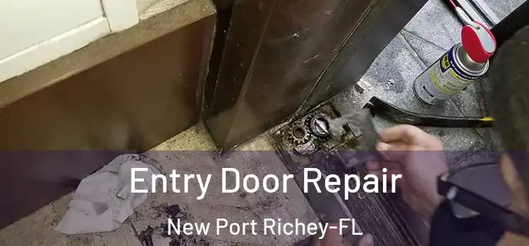  Entry Door Repair New Port Richey-FL