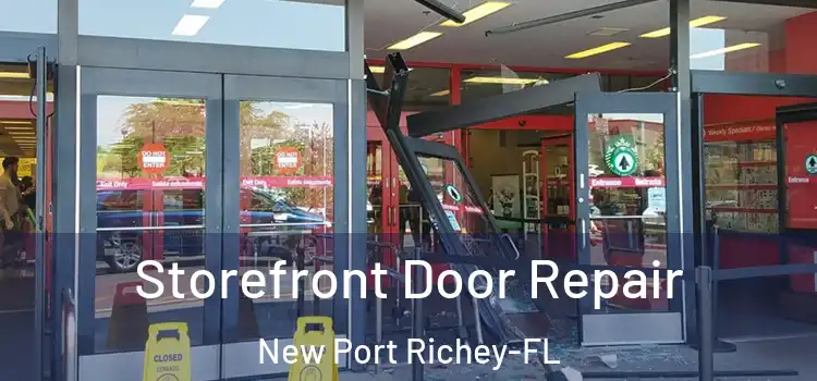  Storefront Door Repair New Port Richey-FL